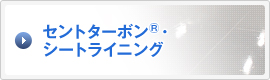 セントターボン(R)・シートライニング